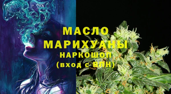 дживик Надым