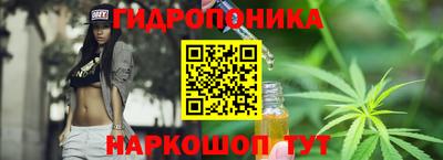 эйфоретик Кимры