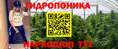 эйфоретик Кимры