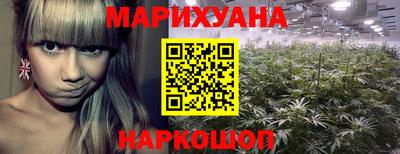 эйфоретик Кимры