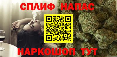 спайс Берёзовский