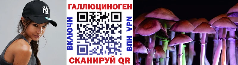 Псилоцибиновые грибы Psilocybine cubensis  Лиски 