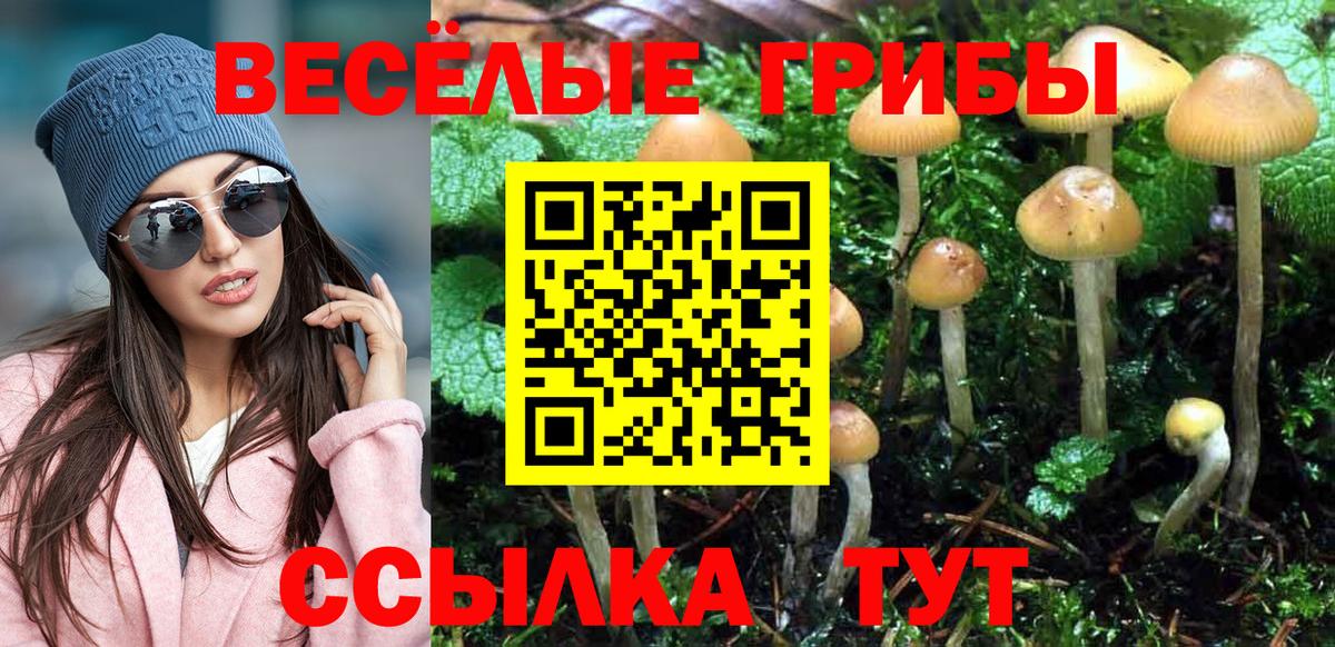 Галлюциногенные грибы Magic Shrooms Лиски
