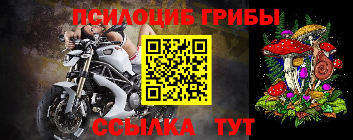 Галлюциногенные грибы Psilocybe  Лиски  Галлюциногенные грибы Psilocybe 