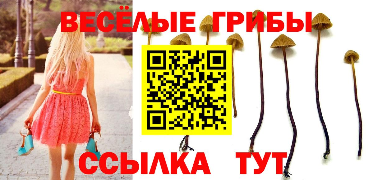 Псилоцибиновые грибы GOLDEN TEACHER  Вход с VPN  Лиски 