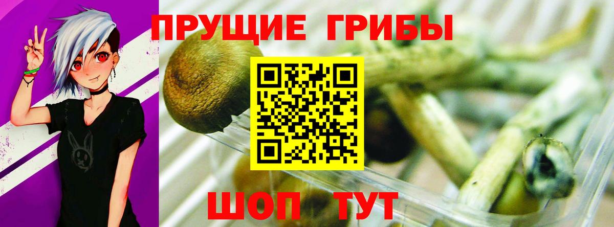 Галлюциногенные грибы Psilocybe Лиски